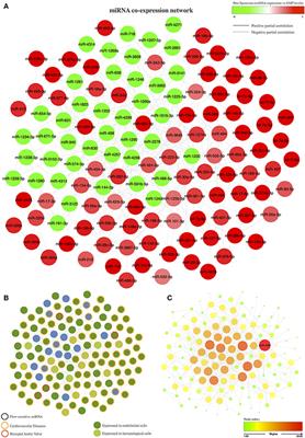 MicroRNAs Clustered within the 14q32 Locus Are Associated with Endothelial Damage and Microparticle Secretion in Bicuspid Aortic Valve Disease